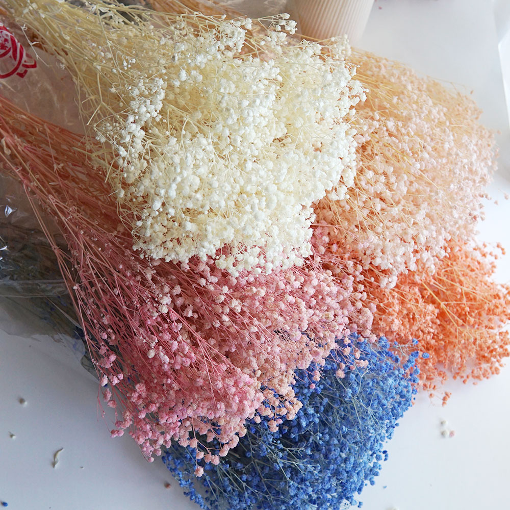 Home Office Bleaching - 50g/coloré naturel conservé séché Babysbreath gypsophile