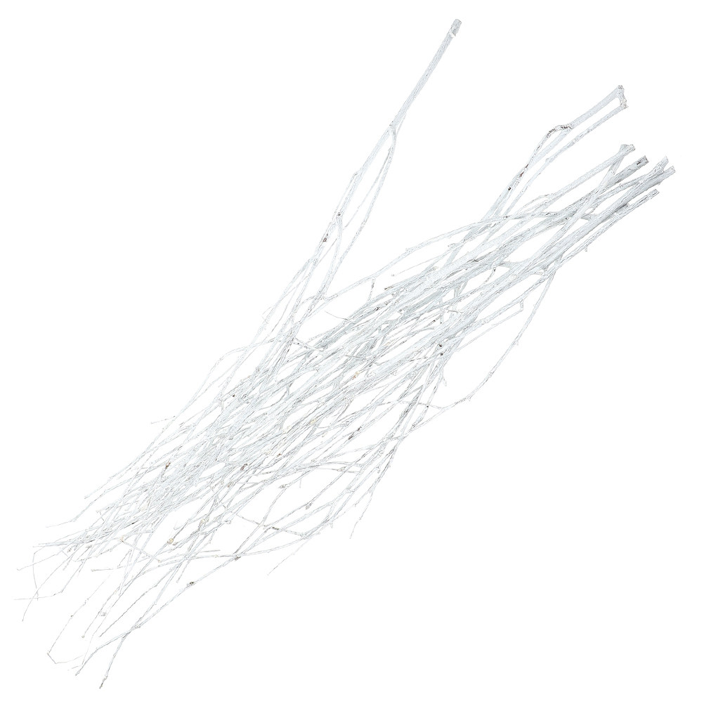 Home Office Word - 12 brins naturels séchés de petites