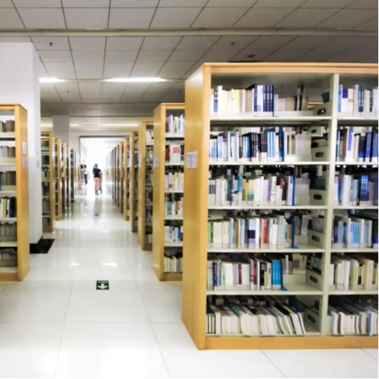Home Office And Library - Étagères à livres Double face en