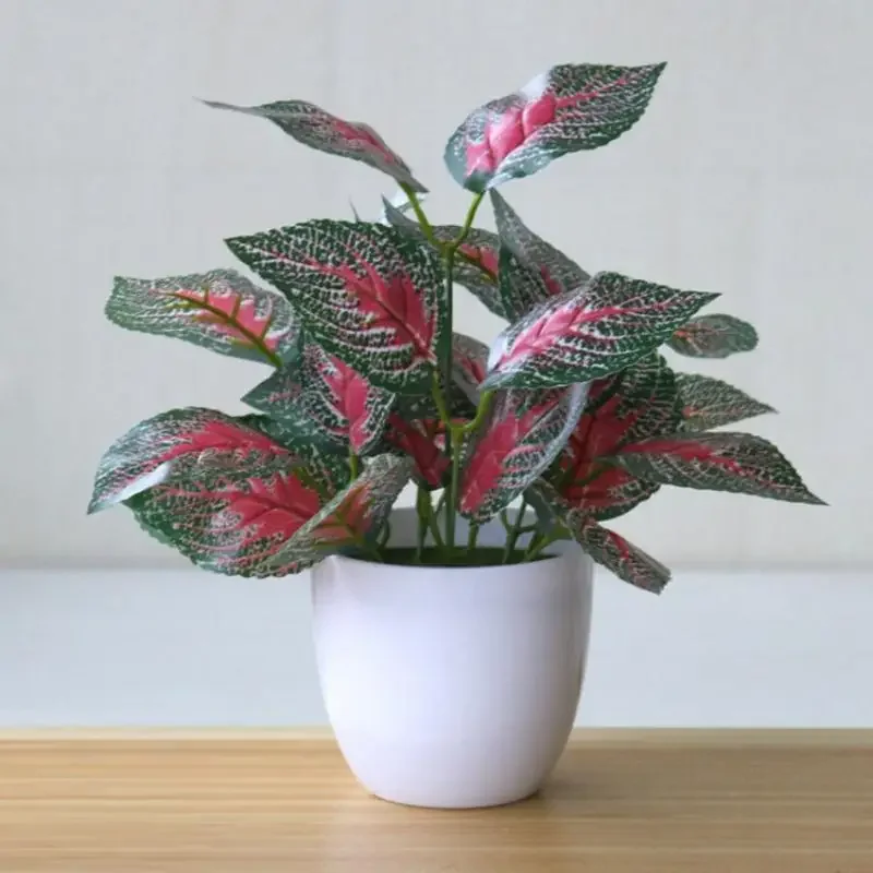 Plantes artificielles bonsaï f - Home Office Word avis et prix